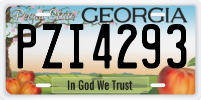 GA license plate PZI4293