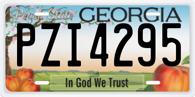 GA license plate PZI4295