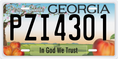 GA license plate PZI4301
