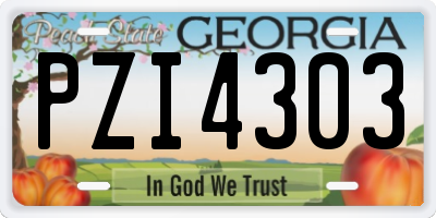 GA license plate PZI4303