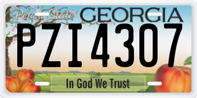 GA license plate PZI4307