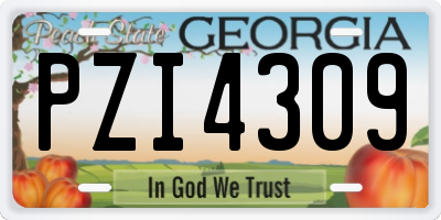 GA license plate PZI4309