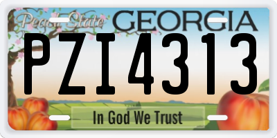 GA license plate PZI4313