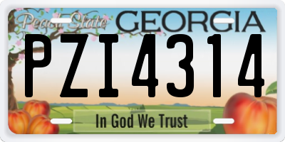GA license plate PZI4314