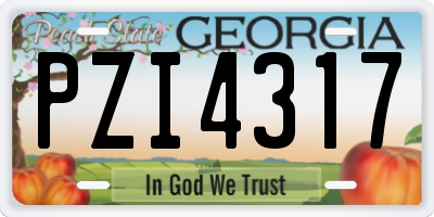 GA license plate PZI4317