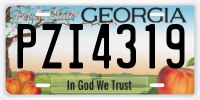 GA license plate PZI4319
