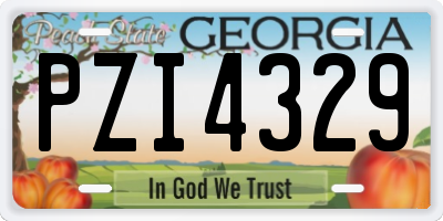 GA license plate PZI4329