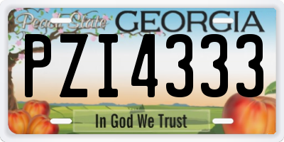 GA license plate PZI4333