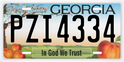 GA license plate PZI4334