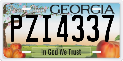 GA license plate PZI4337