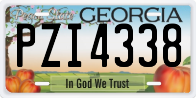 GA license plate PZI4338