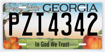 GA license plate PZI4342