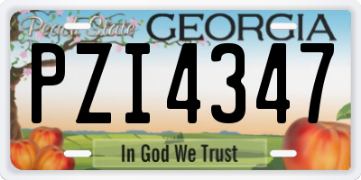 GA license plate PZI4347