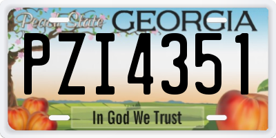 GA license plate PZI4351