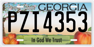 GA license plate PZI4353