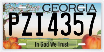 GA license plate PZI4357