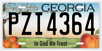 GA license plate PZI4364