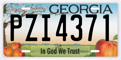 GA license plate PZI4371