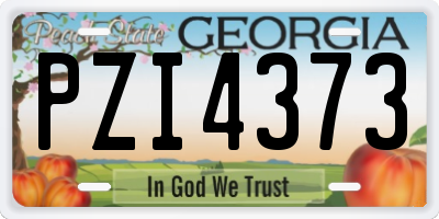GA license plate PZI4373