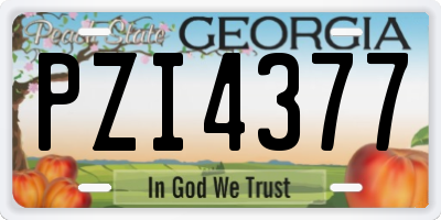 GA license plate PZI4377