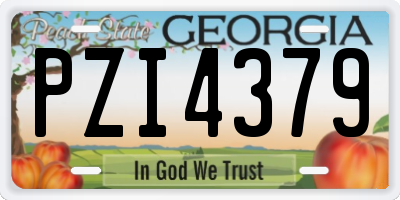 GA license plate PZI4379