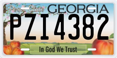 GA license plate PZI4382