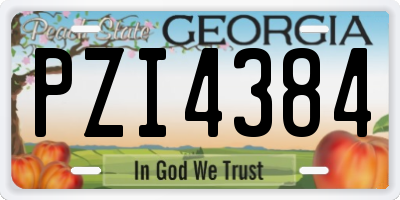 GA license plate PZI4384