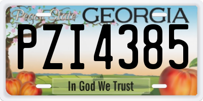 GA license plate PZI4385
