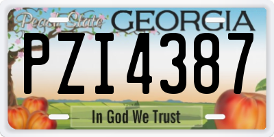 GA license plate PZI4387