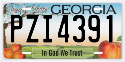 GA license plate PZI4391