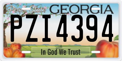 GA license plate PZI4394
