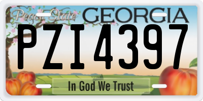 GA license plate PZI4397