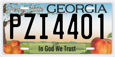GA license plate PZI4401