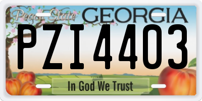 GA license plate PZI4403