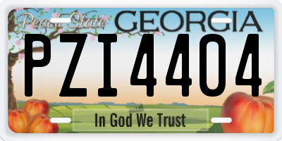 GA license plate PZI4404