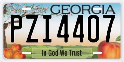 GA license plate PZI4407