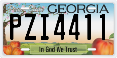 GA license plate PZI4411