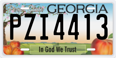GA license plate PZI4413