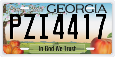 GA license plate PZI4417