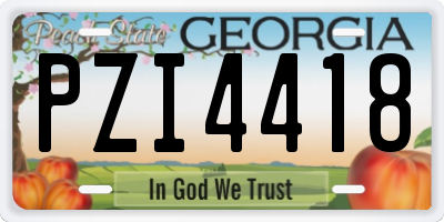 GA license plate PZI4418