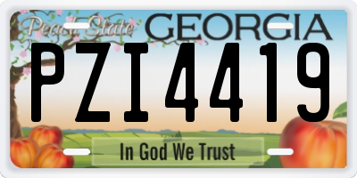 GA license plate PZI4419