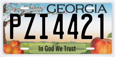GA license plate PZI4421