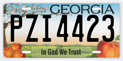 GA license plate PZI4423
