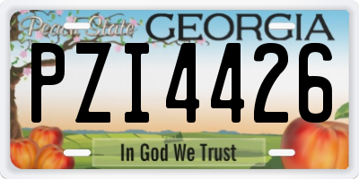 GA license plate PZI4426