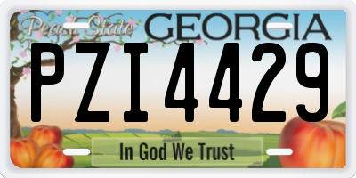 GA license plate PZI4429