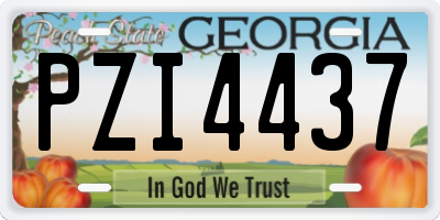 GA license plate PZI4437