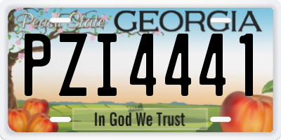 GA license plate PZI4441