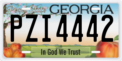 GA license plate PZI4442
