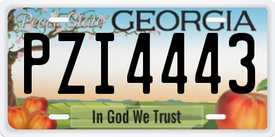 GA license plate PZI4443