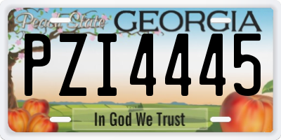 GA license plate PZI4445